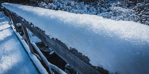 霜薄片     冰冻大晶体覆盖的雪薄片冻结晴天阳光树木蓝色磨砂乡村冷藏冷冻寒冷图片