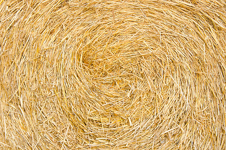 Bale 滚滚草纹理背景干草叶子食物玉米材料场地农田小麦农民枝条图片