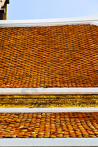 寺庙里的黑鹰 泰兰橙色金子村庄阴影木头窗户旅行房子城市旅游天空图片