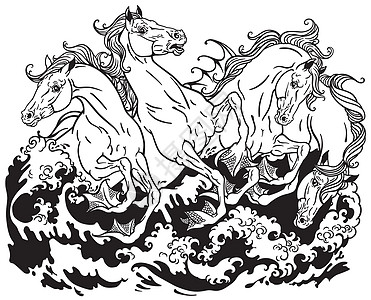 四匹神话海马杂交种黑与白想像力传奇动物海浪海洋怪物生物图片