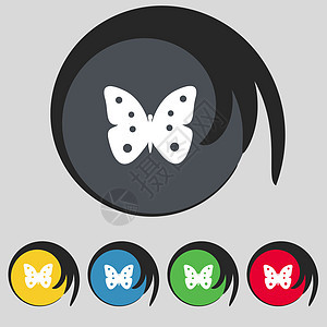 蝴蝶符号图标 昆虫符号 设置彩色按钮玻璃生物学航班野生动物翅膀插图美丽图片