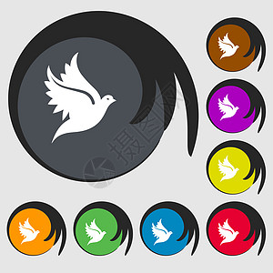 鸽形图标符号 八个彩色按钮上的符号图片