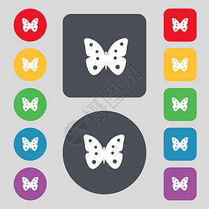 蝴蝶符号图标 昆虫符号 设置彩色按钮野生动物航班玻璃插图美丽生物学翅膀图片