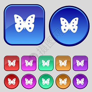 蝴蝶符号图标 昆虫符号 设置彩色按钮美丽插图玻璃生物学翅膀航班野生动物图片