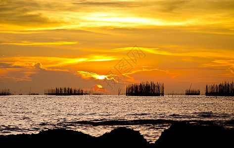 海滩日落橙子蓝色海洋海浪魔法地平线海岸线太阳镜子天空图片