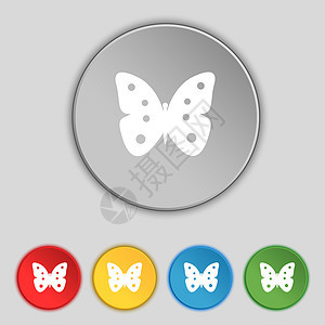 蝴蝶符号图标 昆虫符号 设置彩色按钮航班生物学翅膀插图玻璃野生动物美丽图片