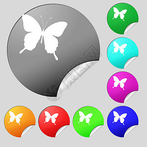 蝴蝶图标符号 一组8个多色圆环按钮 贴纸曲线昆虫野生动物卡通片团体动物装饰绘画君主飞行图片
