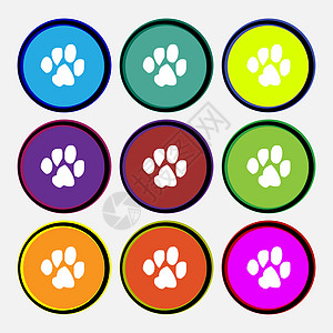 跟踪狗图标符号 九个多色圆环按钮图片