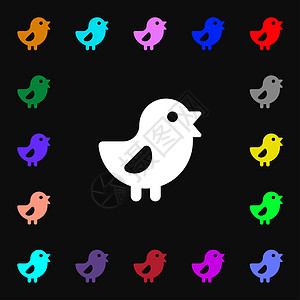 鸡肉 鸟的图标符号 您的设计有许多多彩的符号图片