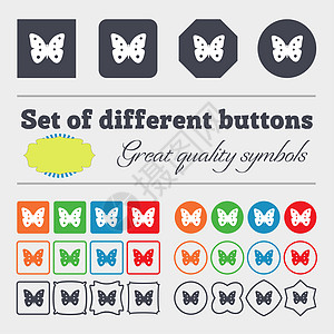 蝴蝶图标蝴蝶标志图标 昆虫符号 多彩 多样 优质的按钮背景