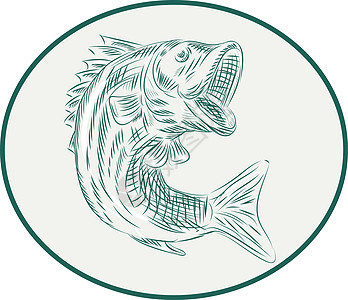 大茅斯巴斯鱼木块低音雕刻艺术品插图刮板木刻椭圆形草图绘画图片