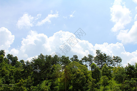 山海滩支撑晴天山脉绿色天线蓝色风景天空爬坡图片