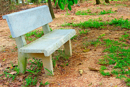 园里的石板草地花园绿色场景公园椅子石头场地大理石座位图片