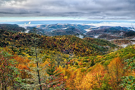 在北面Maggie山谷附近的蓝色山脊公园旁的秋天树叶远景水平光线绿色摄影射线山峰叶子风光美术图片