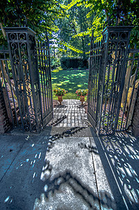 古典设计黑色的铁门 在美丽的绿色长袍中安全金属古董锁定公园财产季节后院植物网关图片