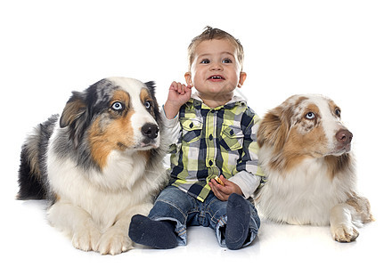 小男孩和狗狗亲热男生婴儿朋友们孩子动物宠物工作室牧羊犬男性图片
