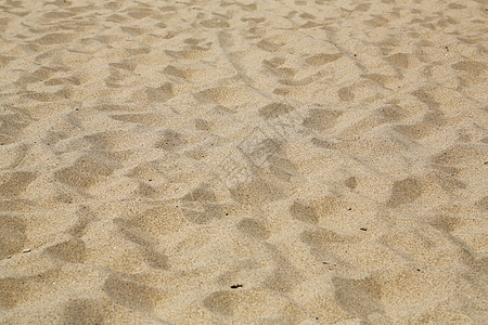 撒丁岛Piscinas海滩游客衬套土地支撑海岸线爬坡日光浴金子太阳旅行图片