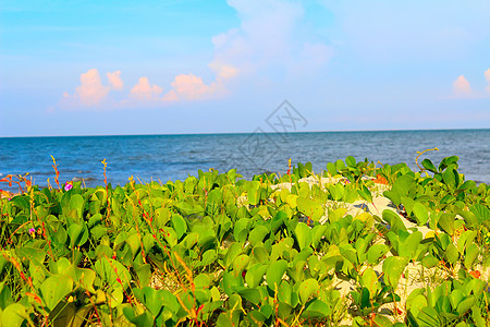 中华沙滩血管情调冲浪天堂钓鱼运输游艇晴天海浪海景图片