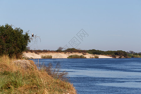赞比西河岸边溪流旅行公园荒野天空国家地区太阳旅游阳光图片