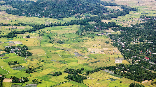 空中观察草地国家场景场地农场土地绿色牧场乡村风景农业图片