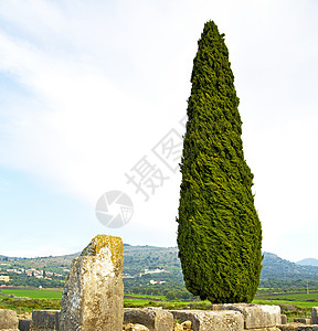 纪念碑和工地中的 volubilis帝国旅行旅游古董建筑学堡垒植物遗产城市废墟图片