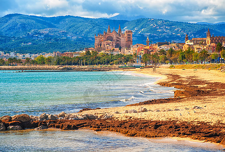 西班牙马洛卡帕尔马岛沙滩 背景为哥特大教堂图片