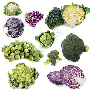 卷心菜组白菜食物工作室白色绿色团体蔬菜背景图片