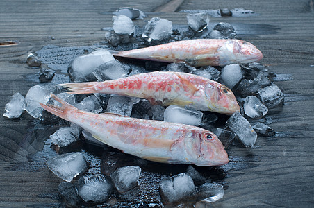 躺在冰雪床上的新鲜薄膜海鲜玉米晚餐贝类小吃美食家饮食食物盘子橙子图片