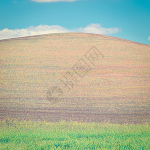 西西里山种植园阳光正方形山脉收成农田国家农场植物牧场图片
