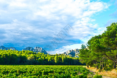 法语普罗旺斯天空农村农场爬坡森林蓝色岩石场地种植园植物图片