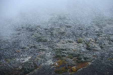 以阿拉斯加雪为单位白色森林荒野天气图片