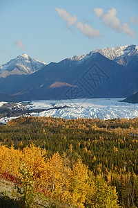 大西洋冰川荒野森林旅行天空公园白色风景蓝色图片