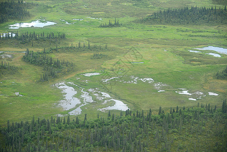 alaska 空中视图公园绿色荒野半岛飞机风景森林旅行图片