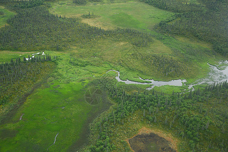 alaska 空中视图旅行风景荒野公园飞机半岛森林绿色图片