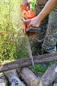 木锯在森林中砍伐木材商业修剪男性木头机器工具刀刃锯末链锯职业图片