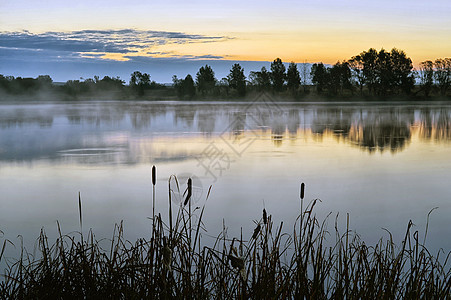 清晨风景与日出 在雾中的水面薄雾反射旅行场景蓝色植物天空阳光溪流太阳图片