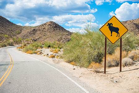 沙漠大角羊标志图片