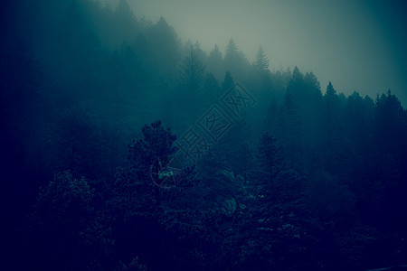 黑暗福吉森林山图片