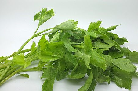 新鲜绿菜美食香料食物芳香营养叶子蔬菜饮食香味农业图片