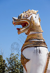 圣狮子符号文化宗教狮子场所寺庙圣狮神话娱乐金子图片