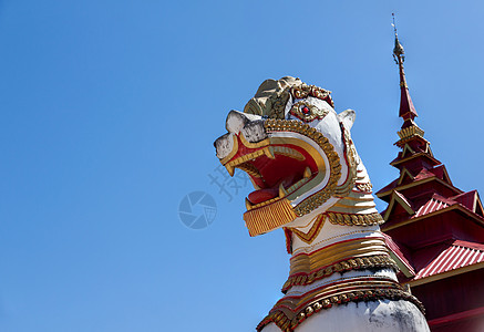 圣狮子艺术寺庙狮子符号宗教文化概念神话圣狮娱乐图片