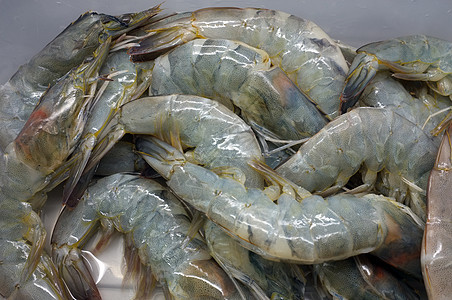 新鲜生虾 虾 海鲜饮食餐厅菜肴老虎食物美食动物菜单贝类甲壳图片