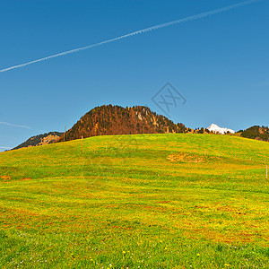 阿尔卑斯山坡叶子地面高山植物群国家旅行农村场地土地蓝色图片
