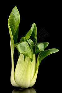 黑黑色的帕克肖伊沙拉蔬菜厨房菠菜美食饮食白菜芥菜植物叶子图片
