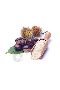 栗子面粉麸质水手生食棕色叶子水果穷人森林食物板栗图片