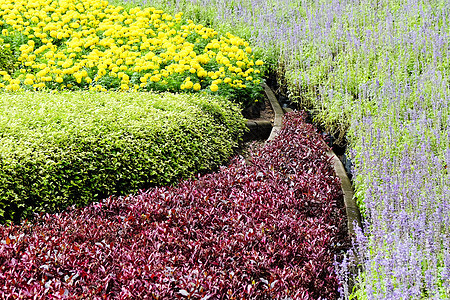 景观花花花园风光季节黄色红色绿色田园花头小径公园环境图片