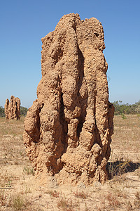 澳大利亚Kakadu国家公园建筑物旅行领土旅游动物群白蚁野生动物昆虫高端白蚁馆图片