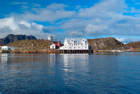 Lofoten岛上的白鱼工厂图片