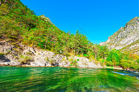 江河森林银行树木石头岩石蓝色生态远足急流峡谷图片