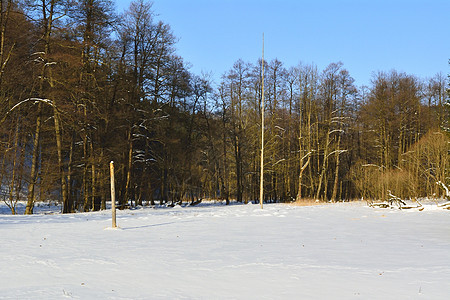 冬季风景日落橙子季节公园太阳季节性天气乡村蓝色天空图片